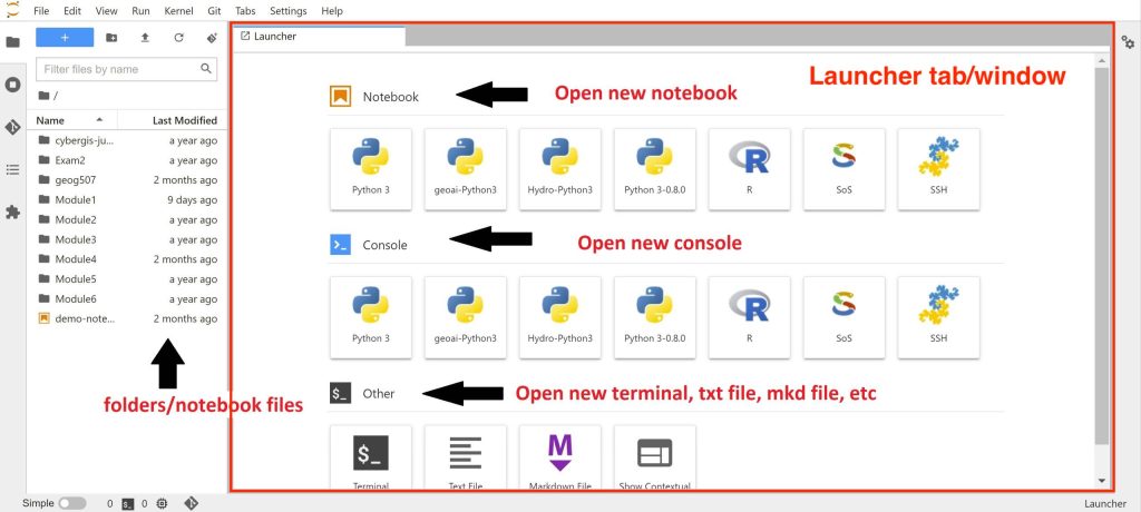 Jupyter Lab interface